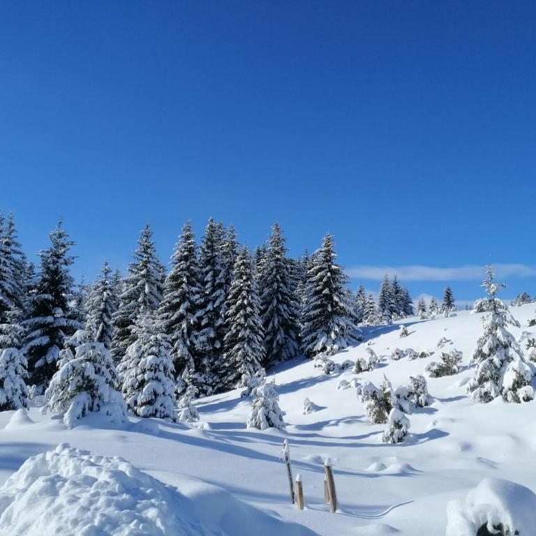 M&K chalets - One-Bedroom Chalet - 43