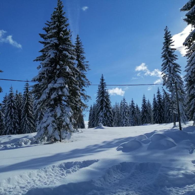 M&K chalets - One-Bedroom Chalet - 45
