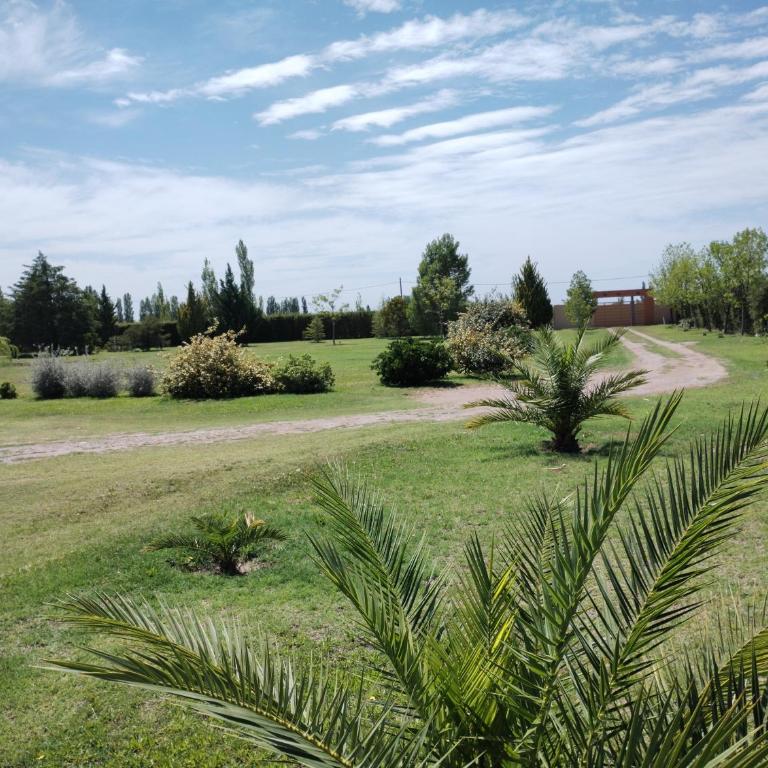 Suite independiente con parque - Apartamento de 1 dormitorio - 4