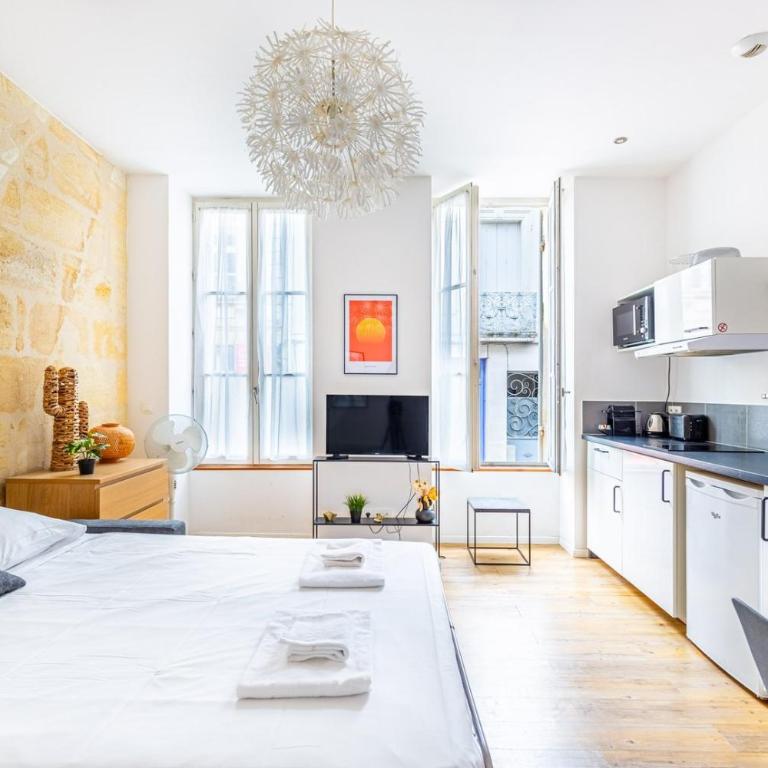 Appartement charmant Bordeaux centre - Studio - 5