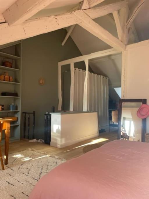Grande chambre indépendante, charme, calme sur jardin, Nantes centre, accès privé par escalier de l'immeuble, sdb & wc privés, 10 minutes gare et palais des congrès - Apartment mit 1 Schlafzimmer - 15
