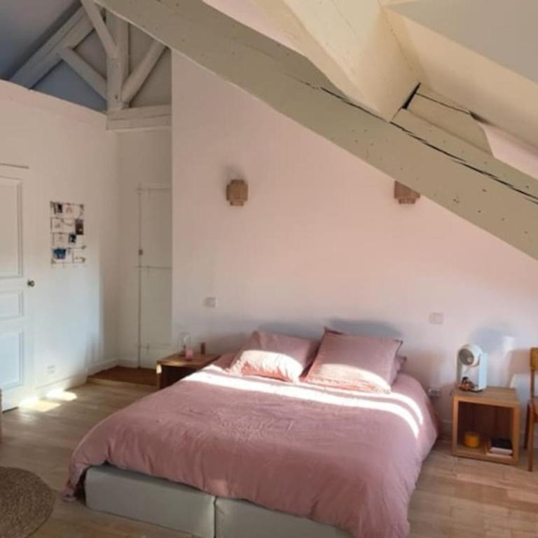 Grande chambre indépendante, charme, calme sur jardin, Nantes centre, accès privé par escalier de l'immeuble, sdb & wc privés, 10 minutes gare et palais des congrès - Apartment mit 1 Schlafzimmer - 12