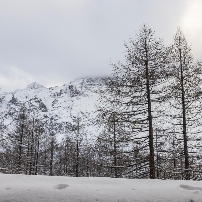 Cervinia Ski In Ski Out - Grande Ourse - Monolocale Familiare - 7