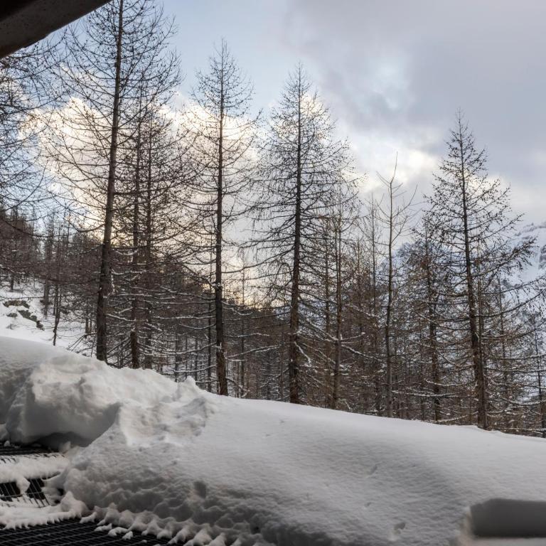 Cervinia Ski In Ski Out - Grande Ourse - Monolocale Familiare - 27