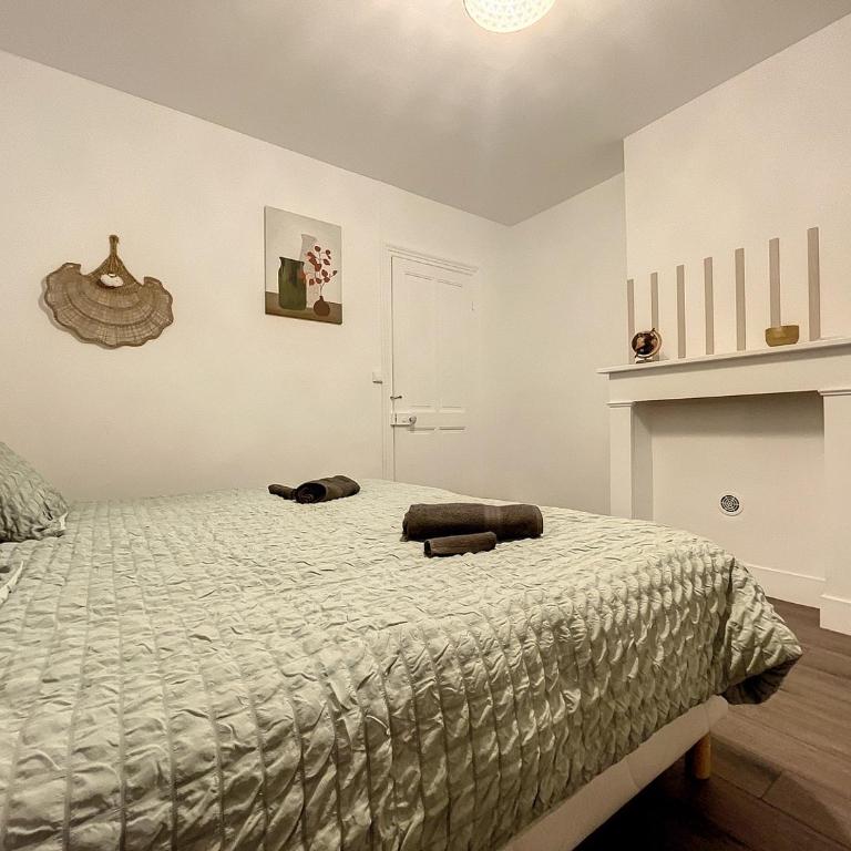 Coeur de ville, T2 cosy & élégant - Appartement 1 Chambre - 12