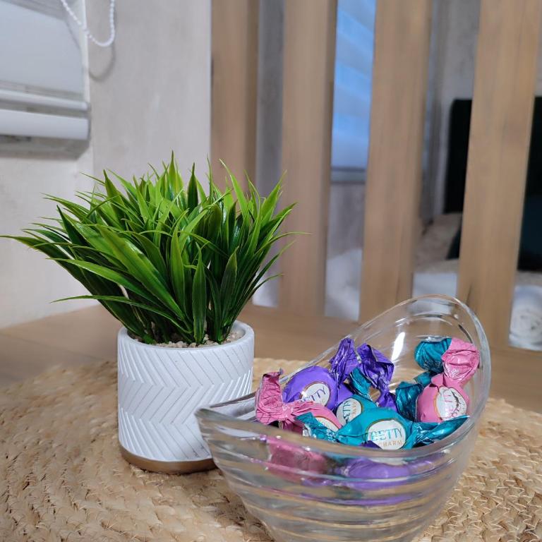 Studio apartman free parking RUBIKON - Porodični Studio - 9