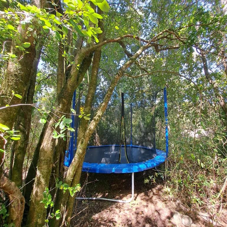 Cabaña Candalf ,Bosque Nativo, Pozas calientes - Casa de 3 dormitorios - 18