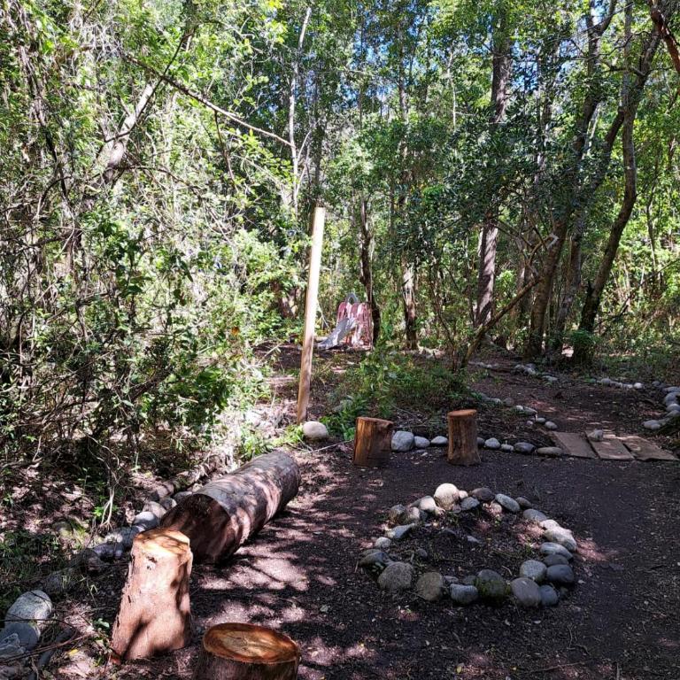 Cabaña Candalf ,Bosque Nativo, Pozas calientes - Casa de 3 dormitorios - 17