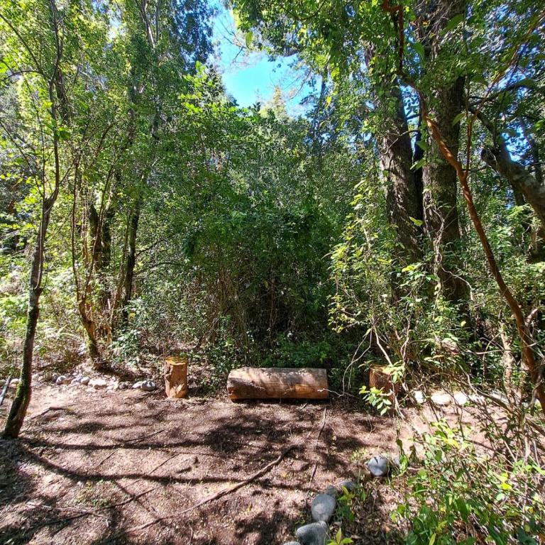 Cabaña Candalf ,Bosque Nativo, Pozas calientes - Casa de 3 dormitorios - 19