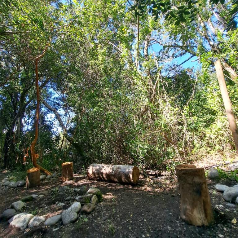 Cabaña Candalf ,Bosque Nativo, Pozas calientes - Casa de 3 dormitorios - 20