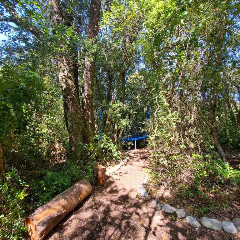 Cabaña Candalf ,Bosque Nativo, Pozas calientes - Casa de 3 dormitorios - 21