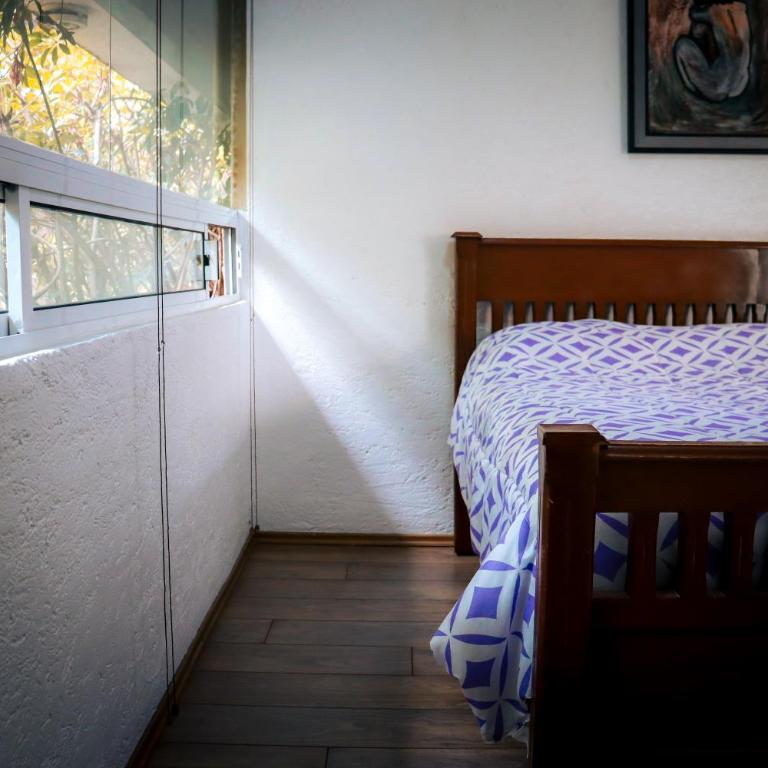 Hostal Cuija Coyoacan Berlin 268 Coyoacan - Chambre Deluxe - 6