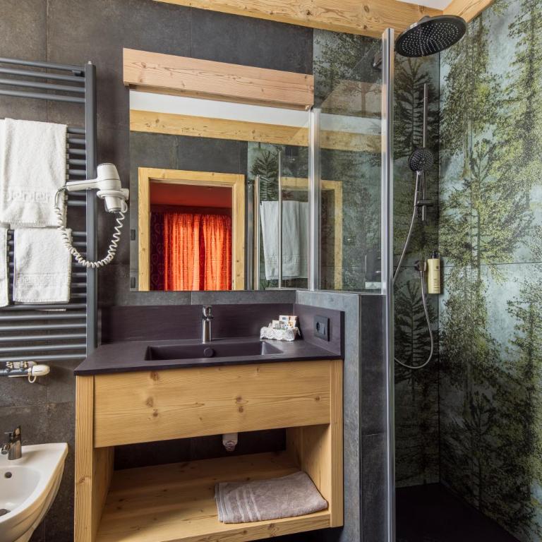 Hotel Columbia & Spa - Double or Twin Room Alpina with Balcony and View - 2