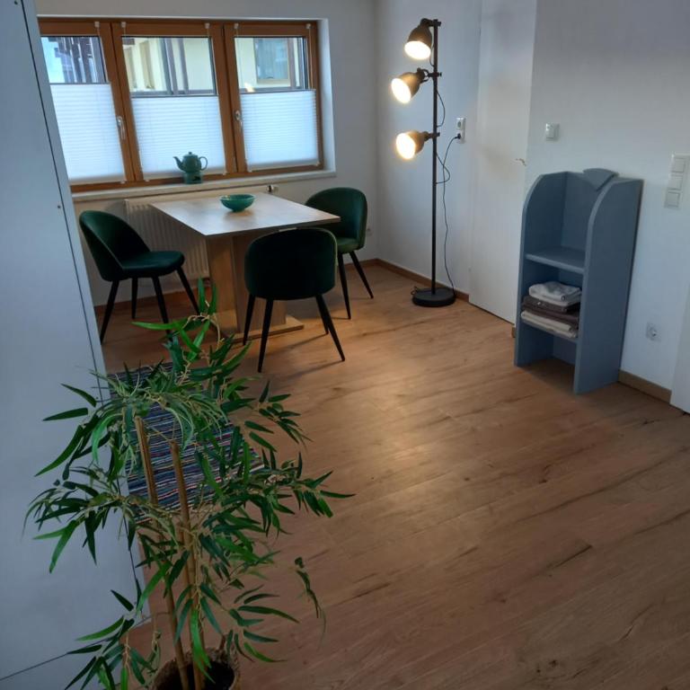 Lovely Rita Studio, modern Studio - balcony and mountain view - center Kaprun - Studio-Apartment - 5