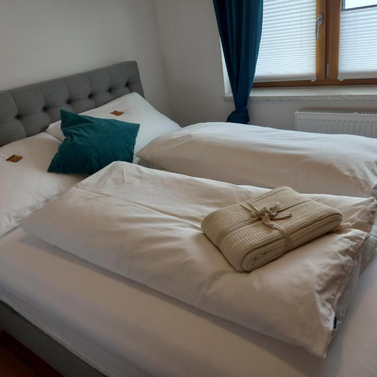 Lovely Rita Studio, modern Studio - balcony and mountain view - center Kaprun - Studio-Apartment - 10
