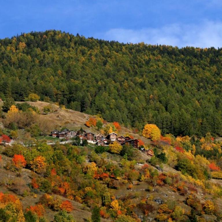 Cosy Studio for 5 near ski lift, Les Gentianes - Studio with Mountain View - 40