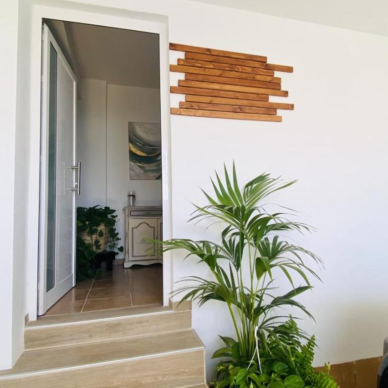 Big House Adeje Deluxe by Deihu Experiences - Three-Bedroom House with Private Gym - 15