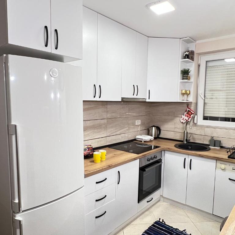 Aero Fly apartment Belgrade - Apartman sa 1 Spavaćom Sobom - 7