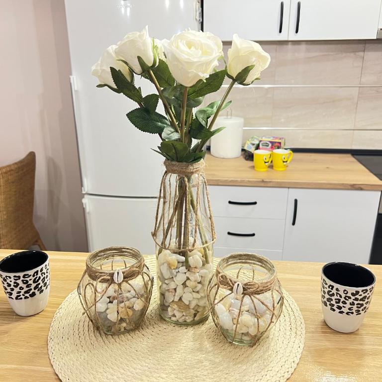 Aero Fly apartment Belgrade - Apartman sa 1 Spavaćom Sobom - 13