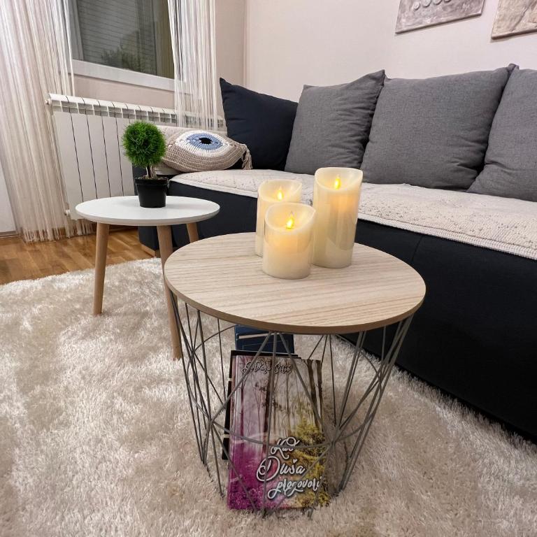 Aero Fly apartment Belgrade - Apartman sa 1 Spavaćom Sobom - 17