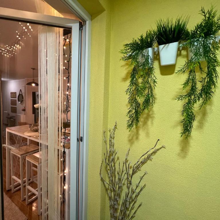 Aero Fly apartment Belgrade - Apartman sa 1 Spavaćom Sobom - 20