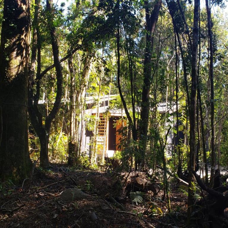 Cabaña Bosque Rio - Two-Bedroom House - 36