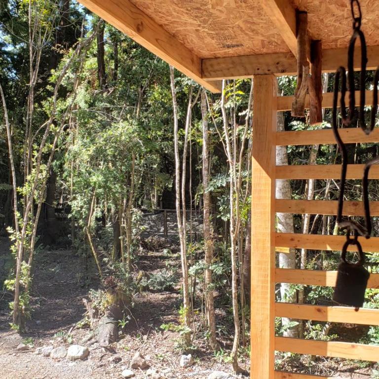 Cabaña Bosque Rio - Two-Bedroom House - 34