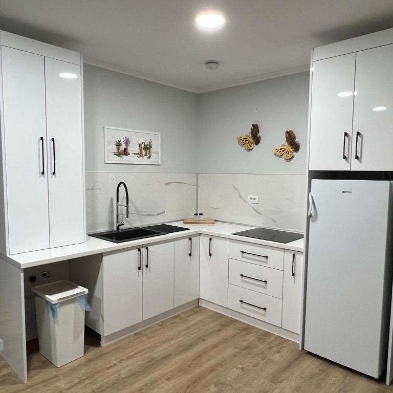 Planinska Princeza Apartmani - Apartman sa 3 Spavaće Sobe - 5