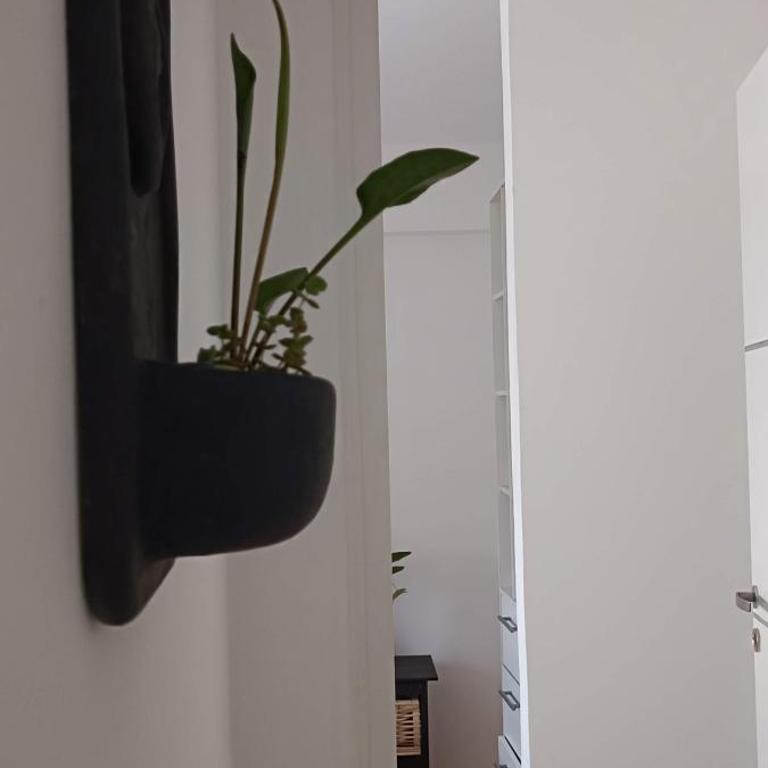 La lunita 1 - Apartamento de 1 dormitorio - 3