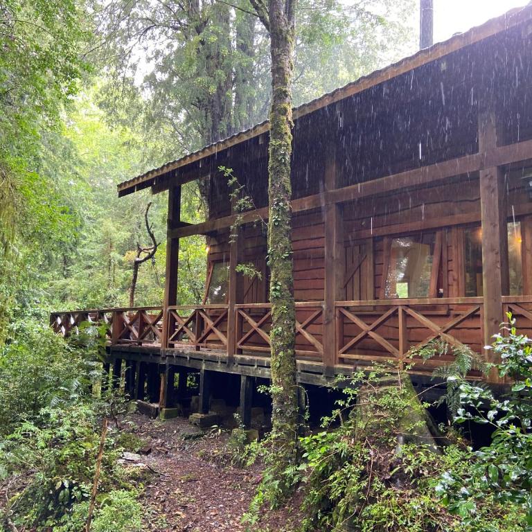 Cabaña del Leñador Los Renovales Huilo Huilo - Chalet de 3 dormitorios - 8