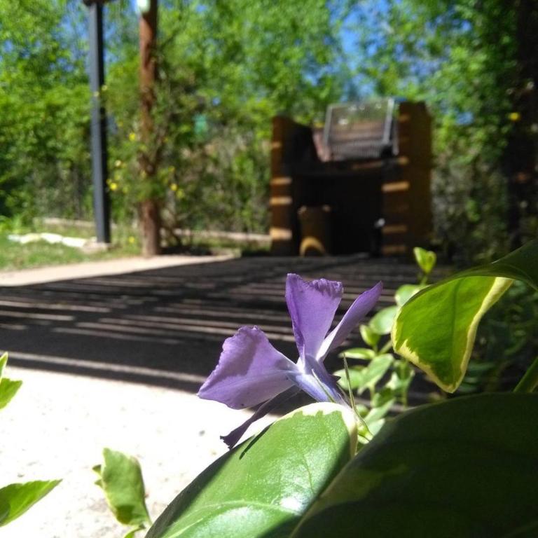 EL MOLLE MORADO - Apartamento de 2 dormitorios - 29