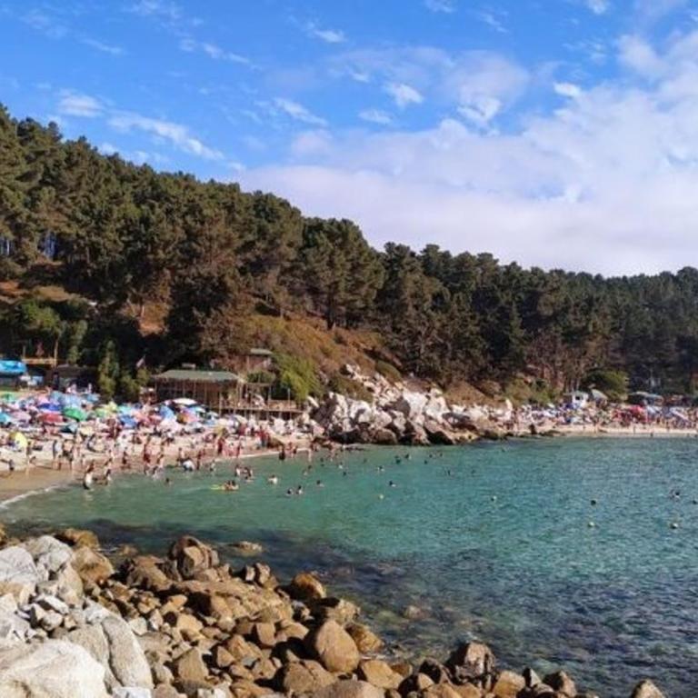 Cabañita El Canelo con Vista al Mar - Casa de 2 dormitorios - 5