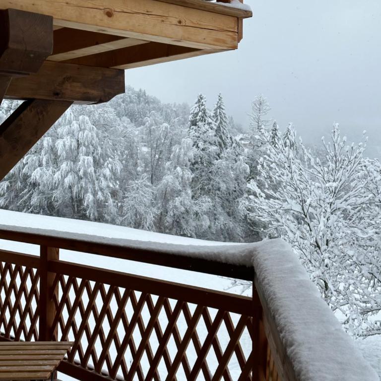 Chalet neuf La Perle du Perron - Chalet 2 Chambres - 27