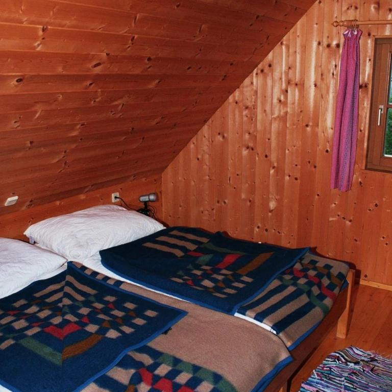 Bischofhütten - Chalet - 5