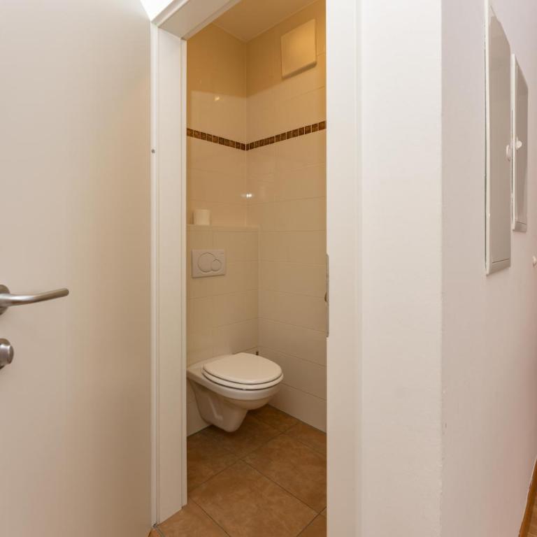 Ferienwohnungen Karoline by Schladming-Appartements - Penthouse-Apartment - 8