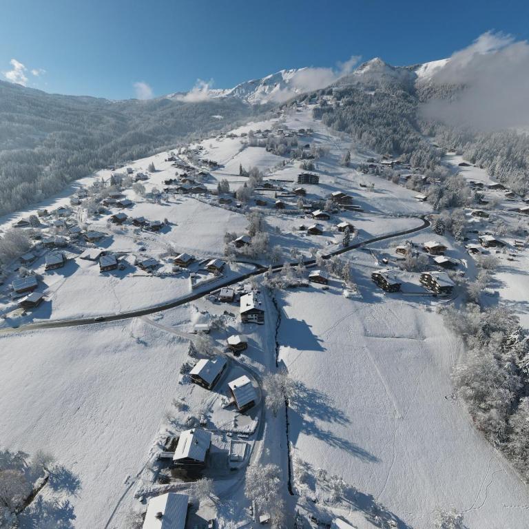 Chalet neuf La Perle du Perron - Chalet 2 Chambres - 17
