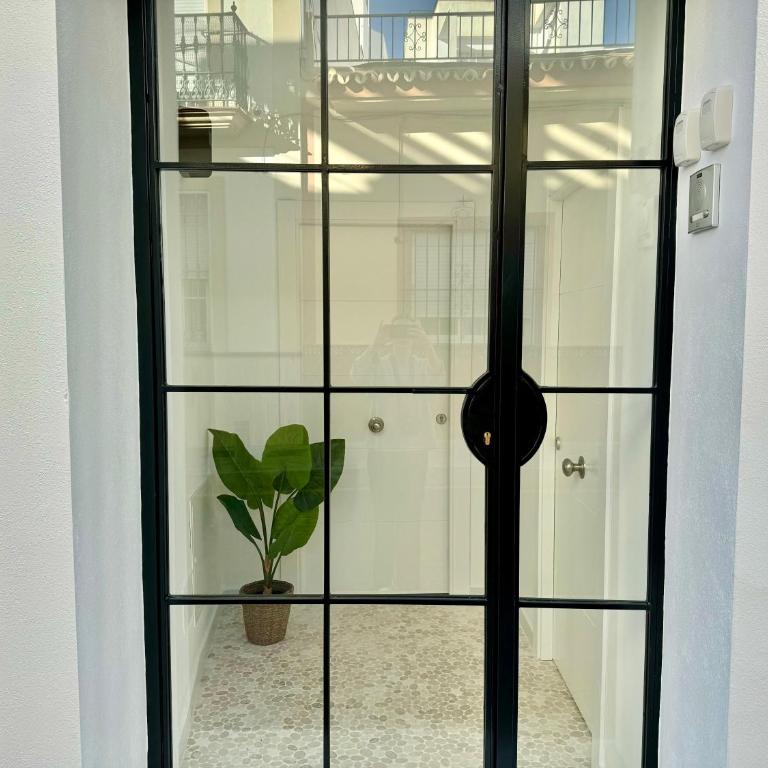 NUEVA 29 - Apartamento de 1 dormitorio - 3