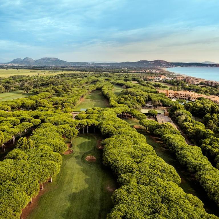 XL Villa Calonge - Villa - 76