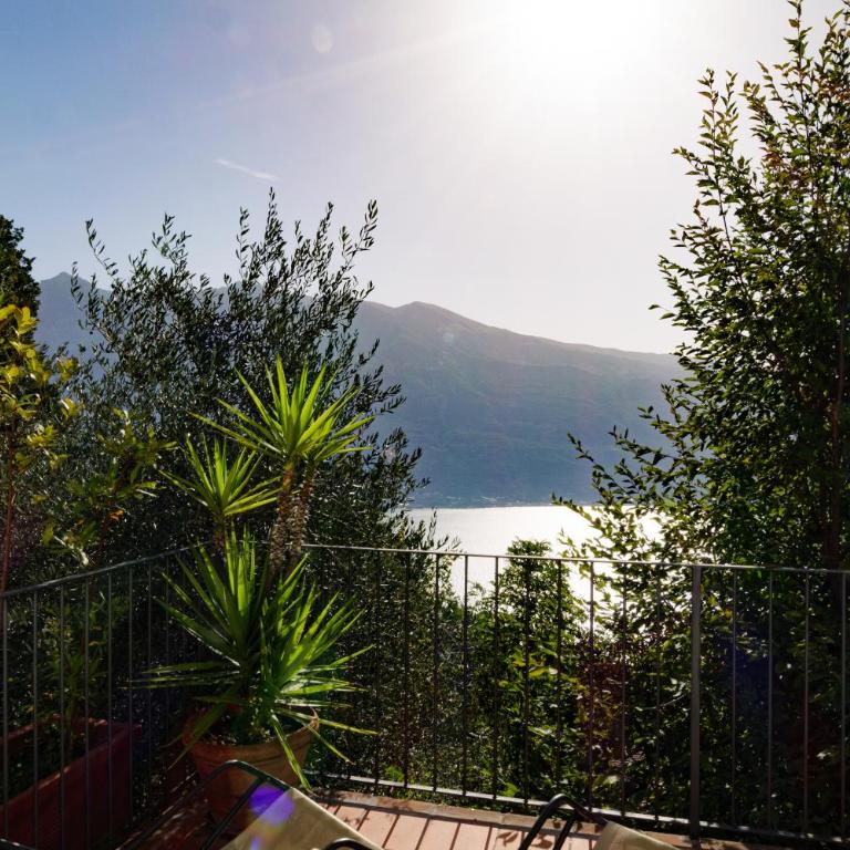 CASA NAVLA' AppartamentI "Ulivi"- "Fiori" -"Velieri"-"Luna"-"Nido"-"Taverna" - Appartamento con 2 Camere da Letto - 8