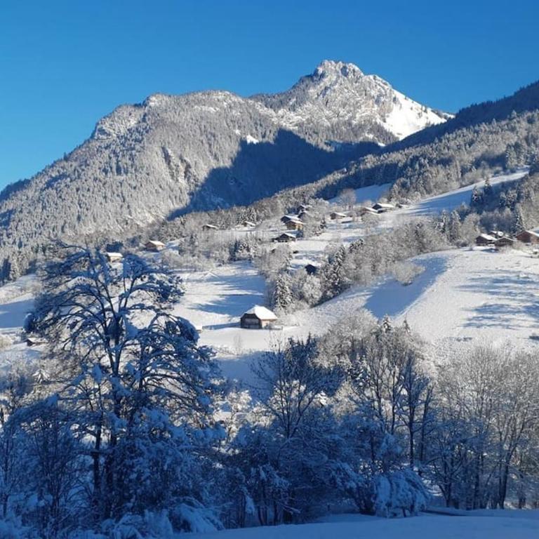 Chalet Génie des Alpages, 8 personnes, proche stations - Maison 4 Chambres - 27