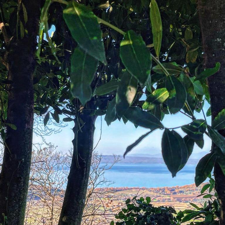 Un Giardino sul Lago - Ferienhaus - 15