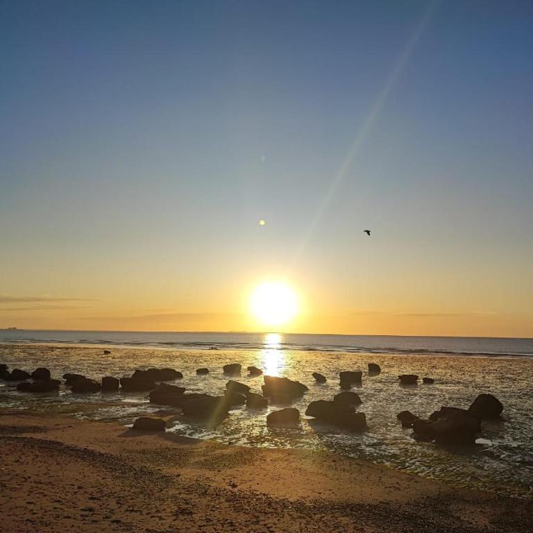 Complejo "NONI" 200 mts del mar, barrio tranquilo - One-Bedroom House - 11