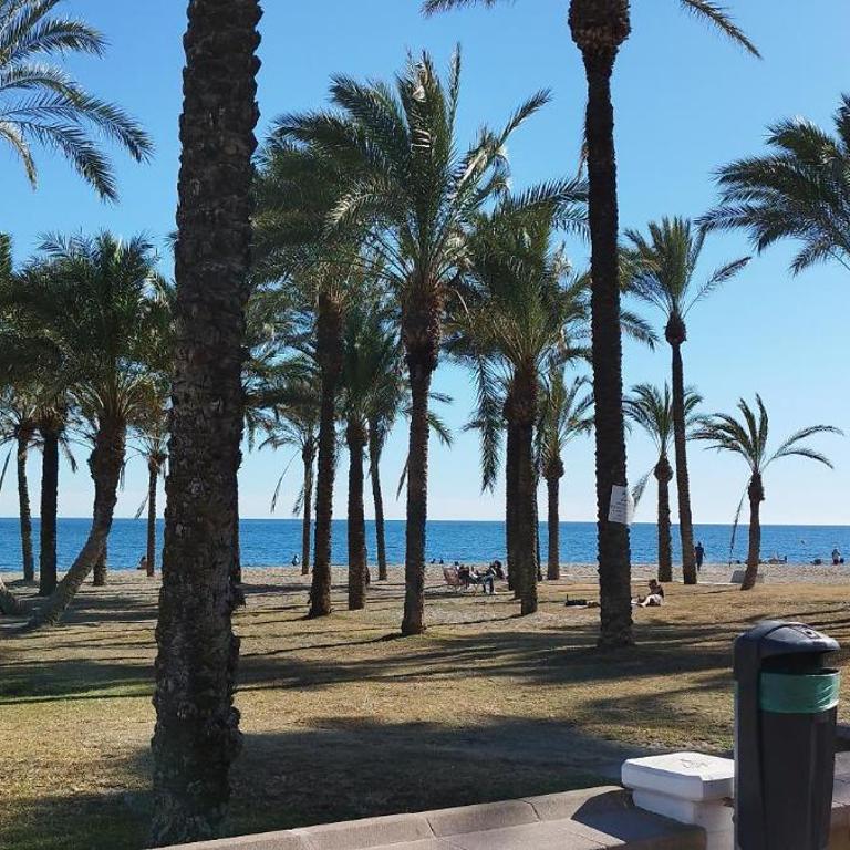 San Antonio - Beach, pool and terrace - Apartamento - Planta baja - 45