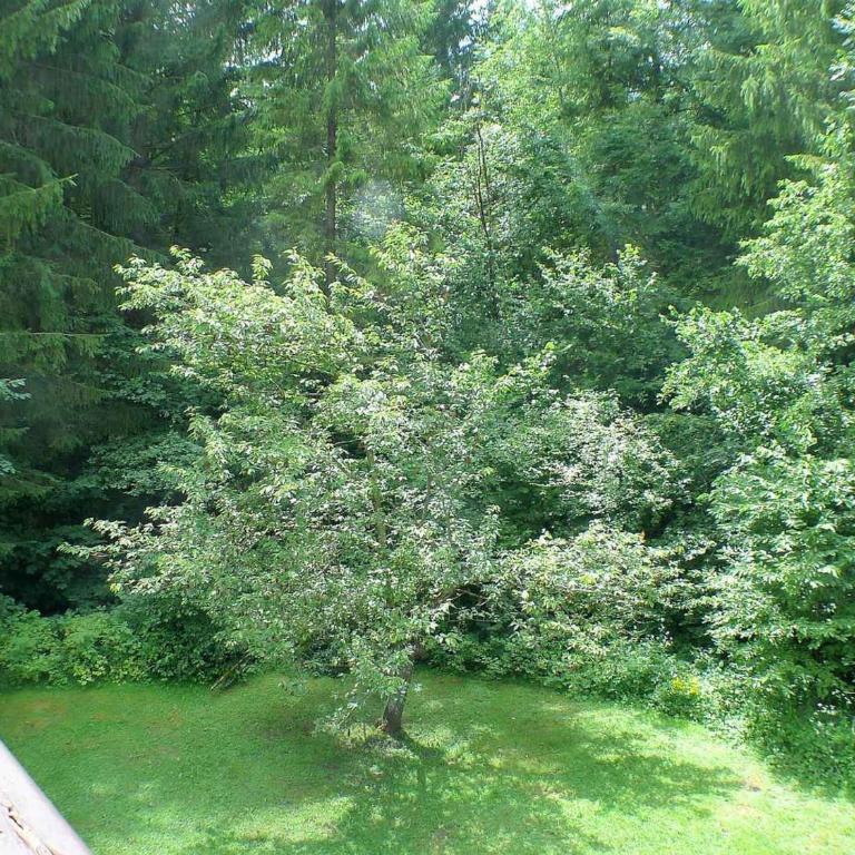 Appartement T4 pour 8 pers, animaux admis, parking - FR-1-629-131 - Appartement - 21