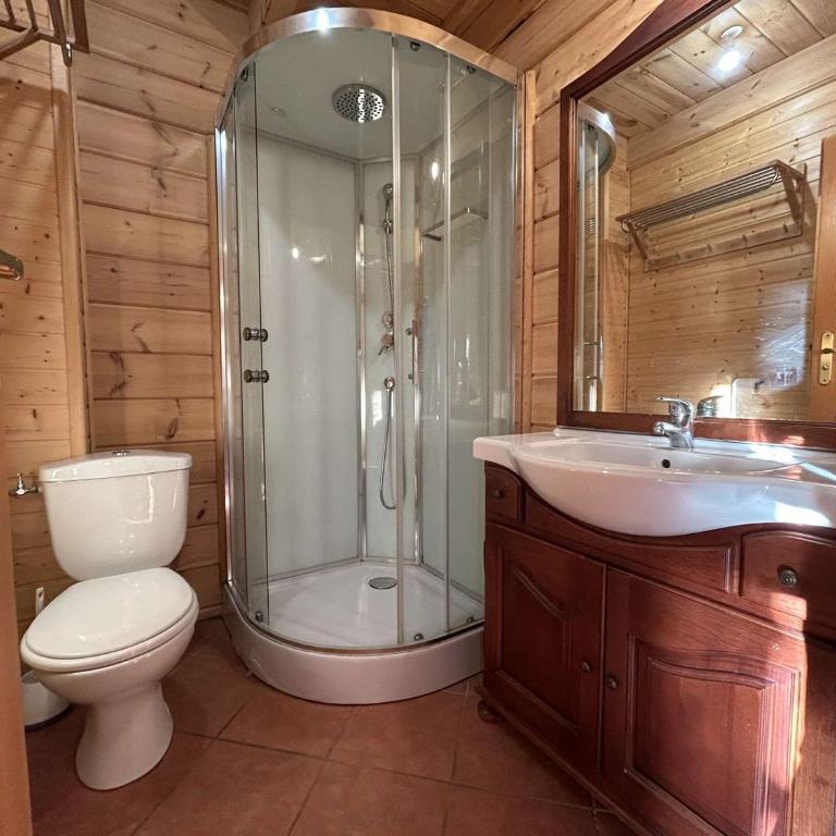 Superbe chalet pour 8 pers. près pistes et commerces, cheminée, terrasse, piscine, navette, ménage inclus - FR-1-651-11 - Chalet - 22