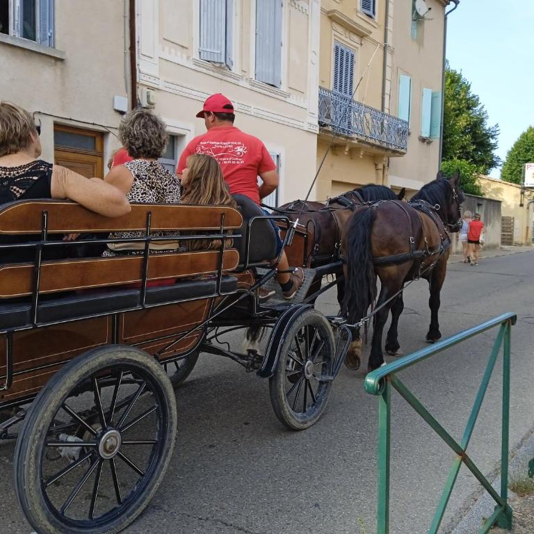 le clos du ventoux - Apartment - Erdgeschoss - 23