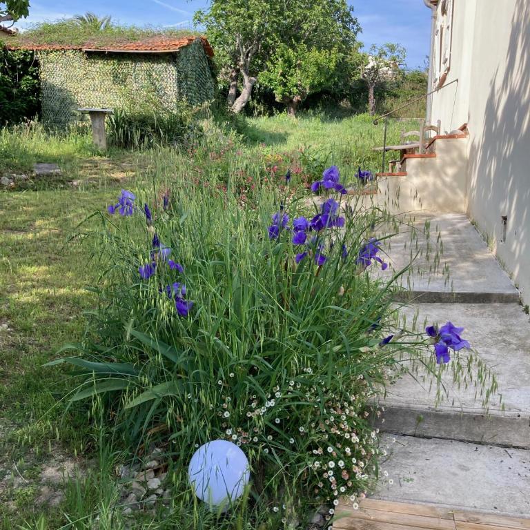 VILLA LES FIGUIERS - Casa con 1 dormitorio - 17