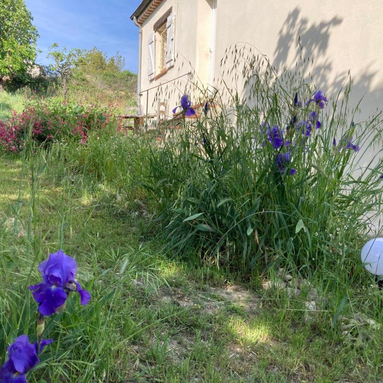 VILLA LES FIGUIERS - Casa con 1 dormitorio - 20