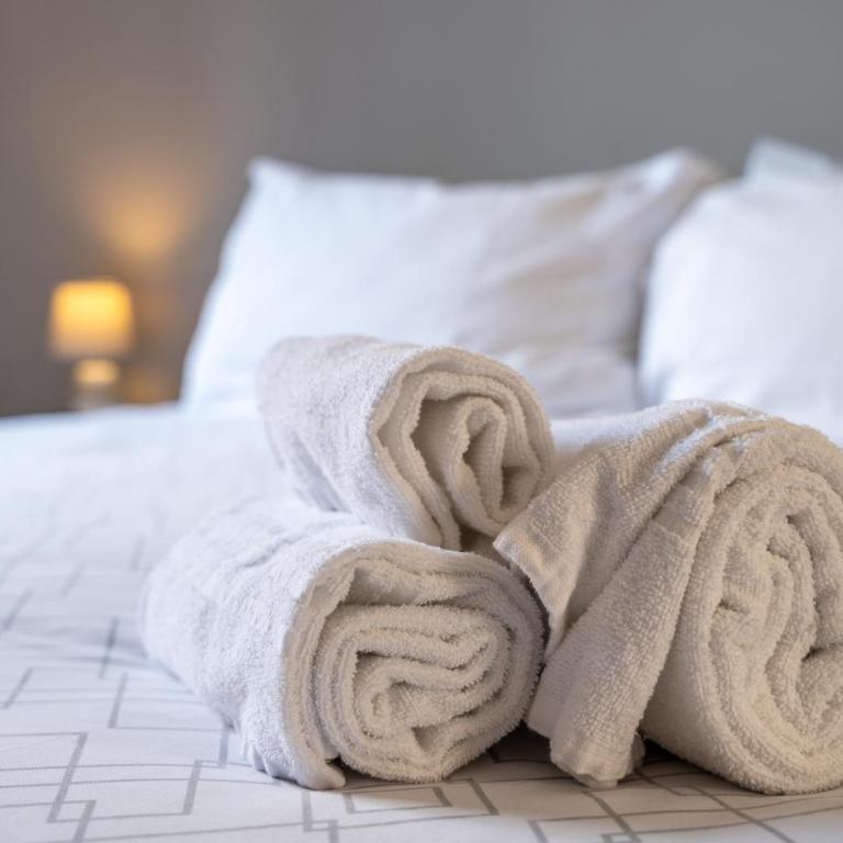 [F1 MONZA - MILANO] New Apt spazioso e confortevole - Appartamento con 1 Camera da Letto - 26