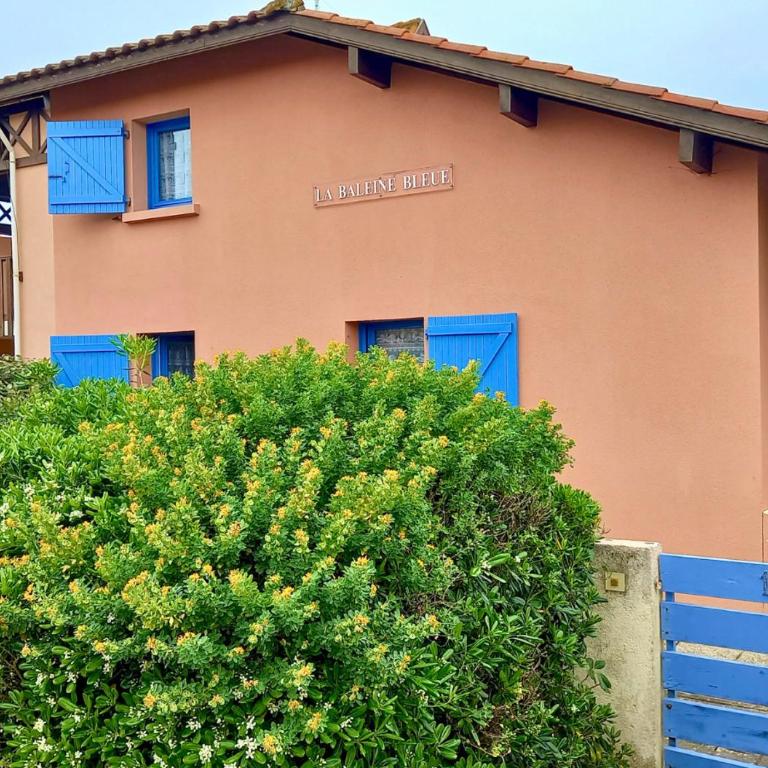 Duplex la Baleine Bleue - Maison 2 Chambres - 19